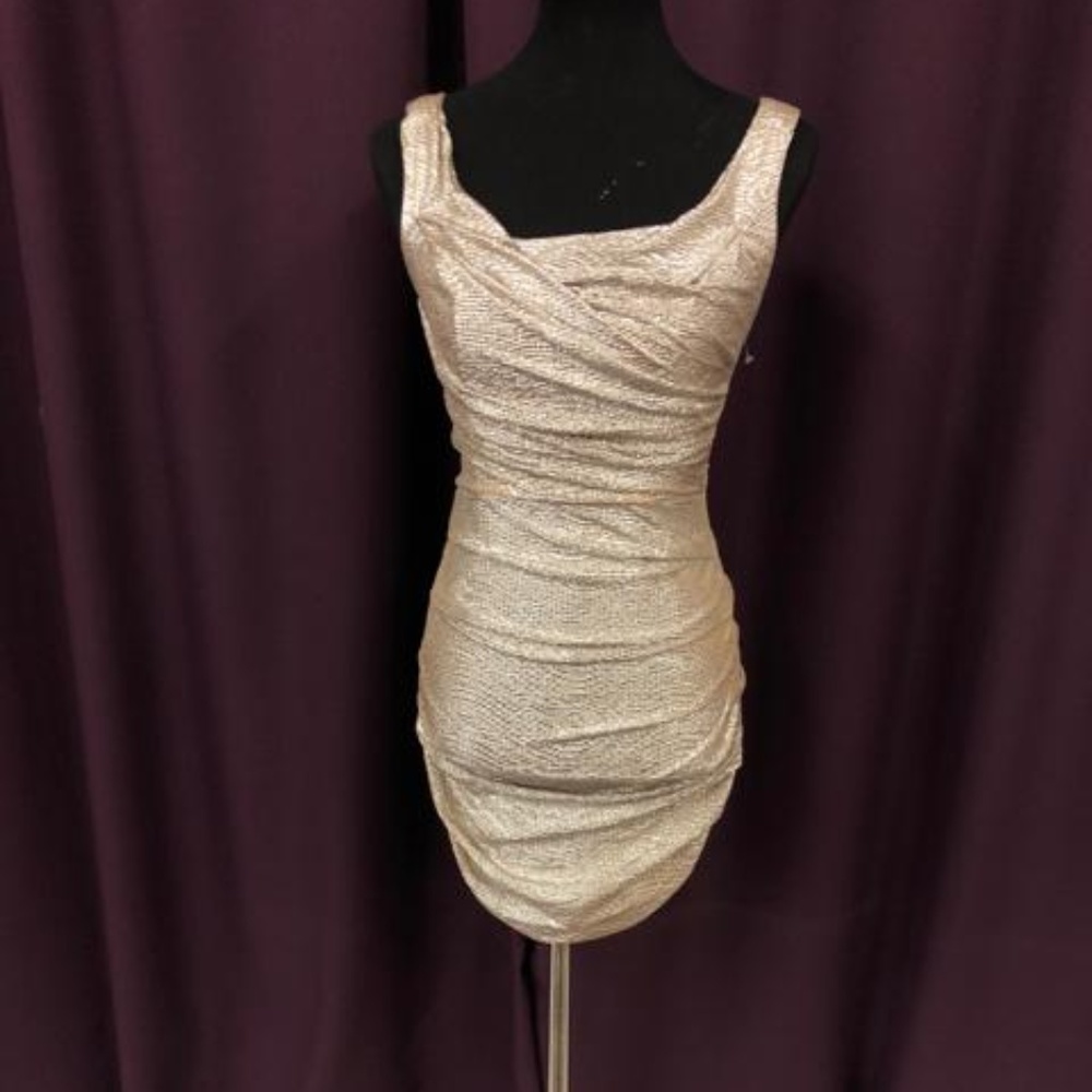 Express Silver Rushing Dress